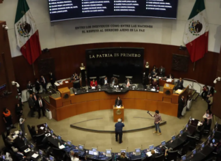 Senado aprueba apoyo económico para jóvenes desempleados Senado aprueba apoyo económico para jóvenes desempleados