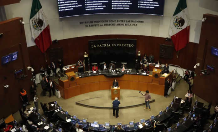 Senado aprueba apoyo económico para jóvenes desempleados