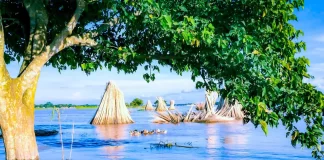 Siete ciudades de Sudamérica que podrían quedar bajo el agua antes del 2100 Siete ciudades de Sudamérica que podrían quedar bajo el agua antes del 2100