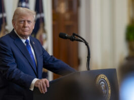 Trump evalúa aranceles para ciertos sectores de canadá y México Trump evalúa aranceles para ciertos sectores de canadá y México
