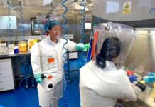 Descubren nuevo coronavirus de murciélago en Brasil, pero los riesgos no están claros coronavirus-brasil