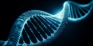 Te has preguntado: ¿por qué los humanos pueden hablar? por que los humanos pueden hablar