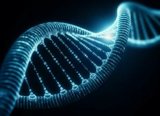 Te has preguntado: ¿por qué los humanos pueden hablar? por que los humanos pueden hablar