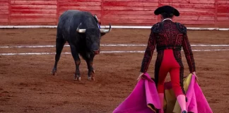 Diputados de Michoacán prohíben las corridas de toros Diputados de Michoacán prohíben las corridas de toros