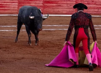 Diputados de Michoacán prohíben las corridas de toros Diputados de Michoacán prohíben las corridas de toros