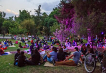 Habrá picnic nocturno bioluminiscente en Chapultepec Habrá picnic nocturno bioluminiscente en Chapultepec