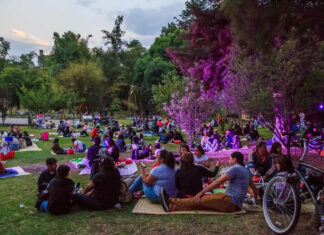 Habrá picnic nocturno bioluminiscente en Chapultepec Habrá picnic nocturno bioluminiscente en Chapultepec