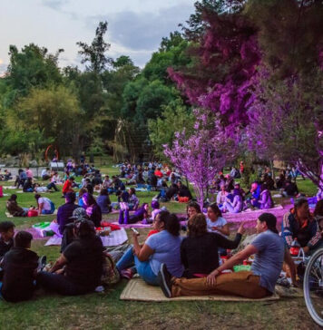 Habrá picnic nocturno bioluminiscente en Chapultepec Habrá picnic nocturno bioluminiscente en Chapultepec