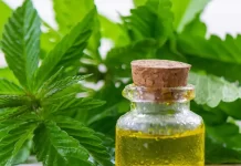 Un estudio vincula el consumo de cannabis con un mayor riesgo de demencia estudio demencia canabis