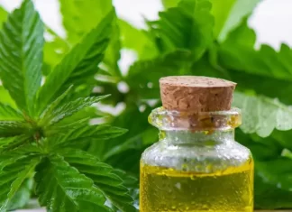 Un estudio vincula el consumo de cannabis con un mayor riesgo de demencia estudio demencia canabis