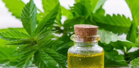 Un estudio vincula el consumo de cannabis con un mayor riesgo de demencia estudio demencia canabis