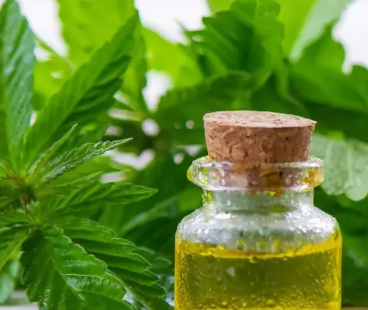 Un estudio vincula el consumo de cannabis con un mayor riesgo de demencia estudio demencia canabis