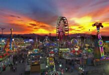 Feria de Puebla 2025: Celebración de Transparencia y Espectáculo feria de puebla 2025