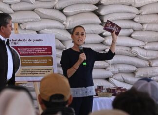 Claudia Sheinbaum lanza el «Frijol del Bienestar» para fortalecer la autosuficiencia alimentaria en México frijol del bienestar sheinbaum
