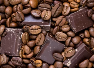 Café & Chocolate Fest 2025: sabores, cultura y entrada gratuita en CDMX Café & Chocolate Fest 2025 evento cdmx