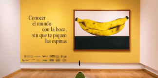 Arte en la mira: Reproducir patrimonio prehispánico sin permiso desata controversia en México Conocer el mundo con la boca sin que te piquen las espinas
