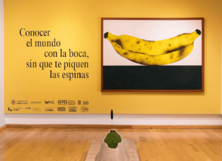 Arte en la mira: Reproducir patrimonio prehispánico sin permiso desata controversia en México Conocer el mundo con la boca sin que te piquen las espinas