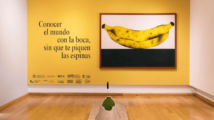 Conocer el mundo con la boca sin que te piquen las espinas