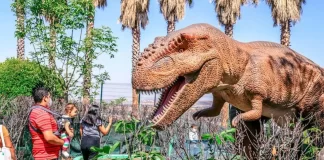 Coyosauria, el parque de dinosaurios de Coyoacán Coyosauria, el parque de dinosaurios de Coyoacán