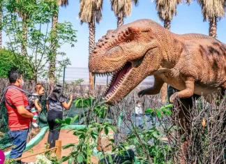 Coyosauria, el parque de dinosaurios de Coyoacán Coyosauria, el parque de dinosaurios de Coyoacán