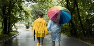 Guía 2025: Cómo elegir el mejor paraguas para la temporada de lluvias en México Guía 2025 Cómo elegir el mejor paraguas para la temporada de lluvias en México