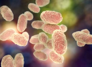 México enfrenta brote severo de tosferina: expertos llaman a reforzar vacunación cada década México enfrenta brote severo de tosferina