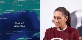 Sheinbaum demanda a Google por cambio de nombre al Golfo de México Sheinbaum demanda a Google por cambio de nombre al Golfo de México