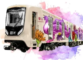 Tren El Ajolote el nuevo nombre del Tren Ligero en CDMX Tren El Ajolote el nuevo nombre del Tren Ligero en CDMX