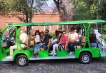 “Un regalo con raíces”: Ecotour México celebra a mamá con un tour ecológico por San Ángel ecotour dia de las madres