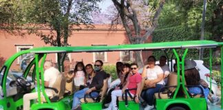 “Un regalo con raíces”: Ecotour México celebra a mamá con un tour ecológico por San Ángel ecotour dia de las madres