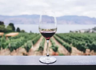 CETYS Universidad lanza Maestría en vitivinicultura y negocios del vino a través de CEVIT maestria en vitivinicultura