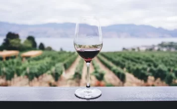 CETYS Universidad lanza Maestría en vitivinicultura y negocios del vino a través de CEVIT maestria en vitivinicultura