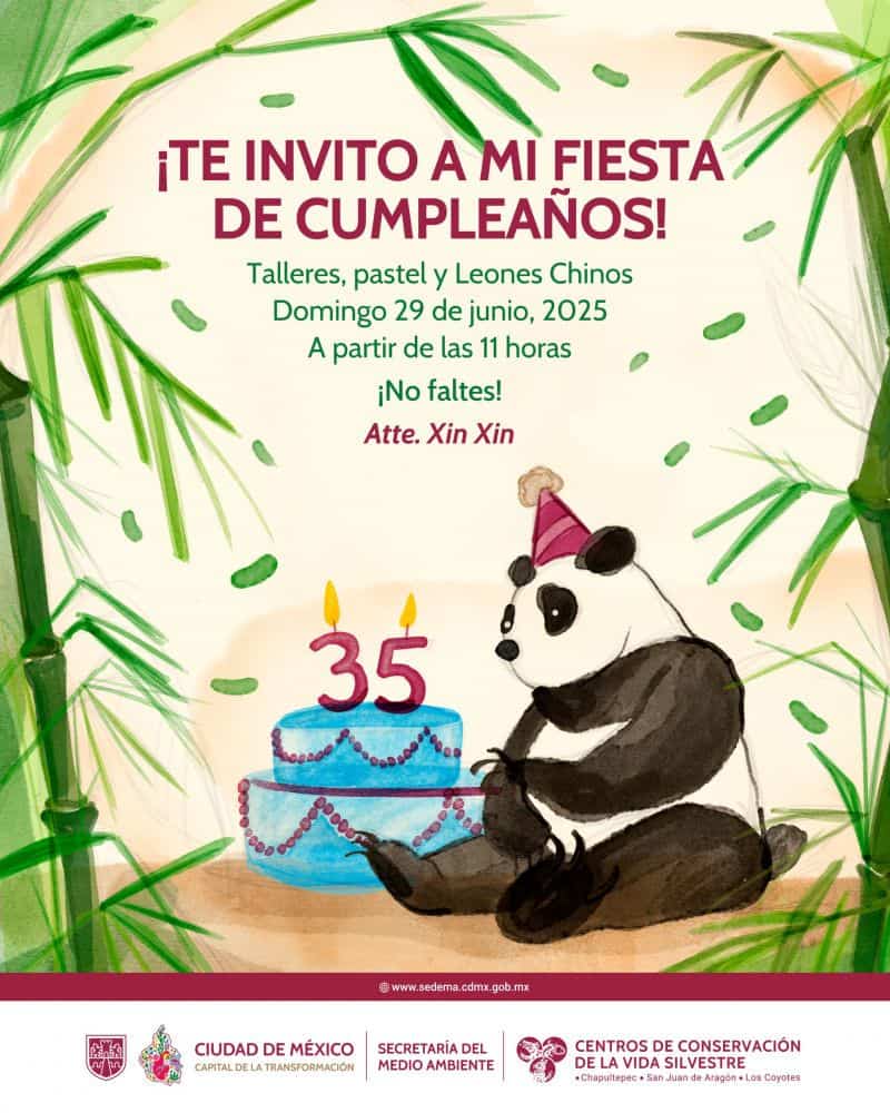 Asiste al cumpleaños de Xin Xin en Chapultepec
