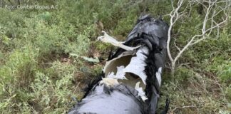 Contaminación por lanzamientos de SpaceX: Sheinbaum impulsa investigación y diálogo con EE.UU.