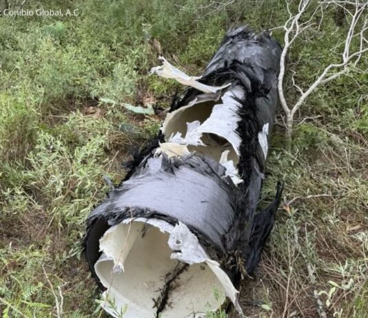 Contaminación por lanzamientos de SpaceX: Sheinbaum impulsa investigación y diálogo con EE.UU.