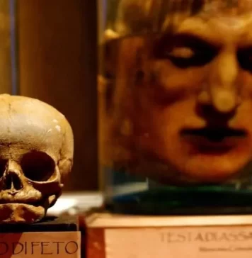 Expo Vampírica y Artes Ocultas en CDMX