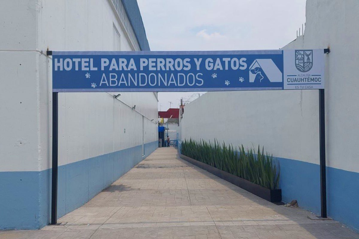 Pensiones y hoteles para perros en CDMX