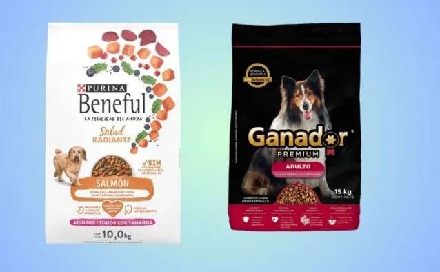 Peores marcas de croquetas para perro según Profeco