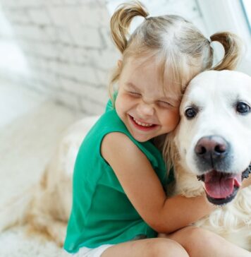 Niños y mascotas: cómo favorece el desarrollo emocional y la responsabilidad infantil