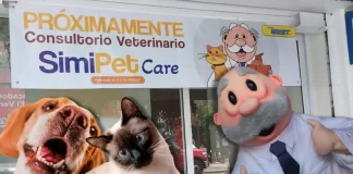 ¿Qué servicios ofrecerán las veterinarias del Dr. Simi? Qué servicios ofrecerán las veterinarias del Dr Simi