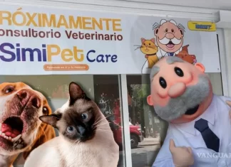 ¿Qué servicios ofrecerán las veterinarias del Dr. Simi? Qué servicios ofrecerán las veterinarias del Dr Simi