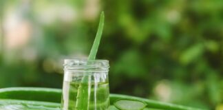 Cubos de hielo de aloe vera: el secreto natural para una piel radiante este verano