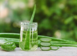 Cubos de hielo de aloe vera: el secreto natural para una piel radiante este verano