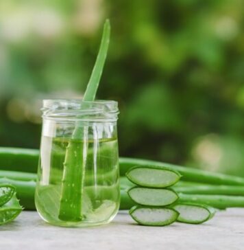 Cubos de hielo de aloe vera: el secreto natural para una piel radiante este verano