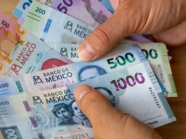 Diputados aprueban reforma para regular retiros de Afores en caso de desempleo aprueban ley afores seguro social 2025