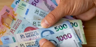 Diputados aprueban reforma para regular retiros de Afores en caso de desempleo aprueban ley afores seguro social 2025