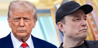 Trump y Musk: de aliados a enfrentados, cronología de una batalla pública guerra trump contra musk