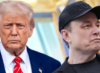Trump y Musk: de aliados a enfrentados, cronología de una batalla pública guerra trump contra musk