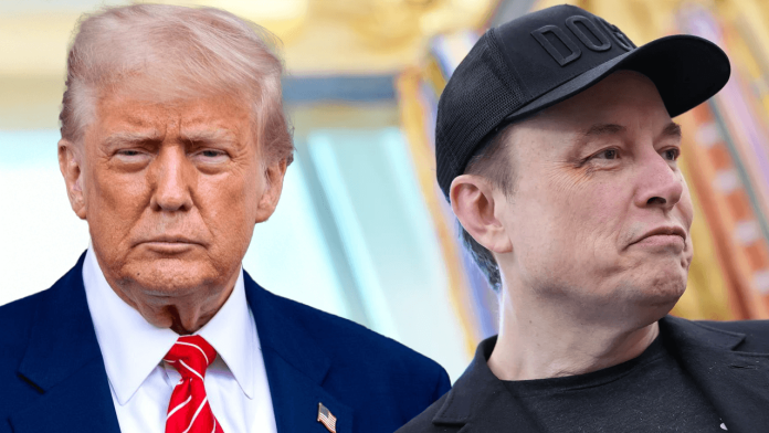 guerra trump contra musk guerra trump contra musk