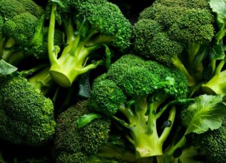 Brócoli y salud metabólica: cómo combate la resistencia a la insulina y regula la glucosa ventajas y desventajas del brocoli